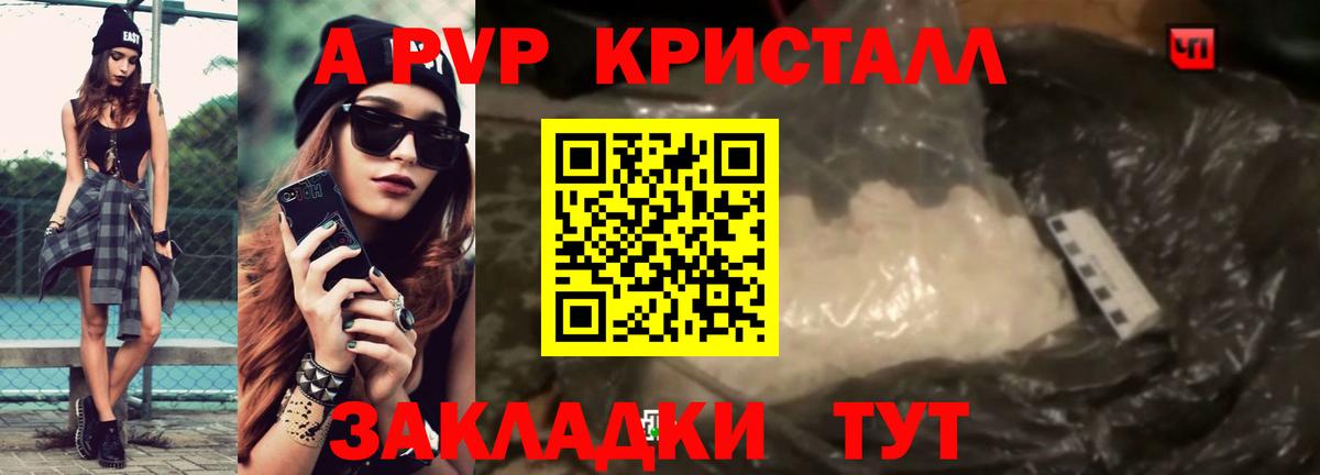 A-PVP СК Сыктывкар