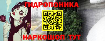 apvp Кандалакша