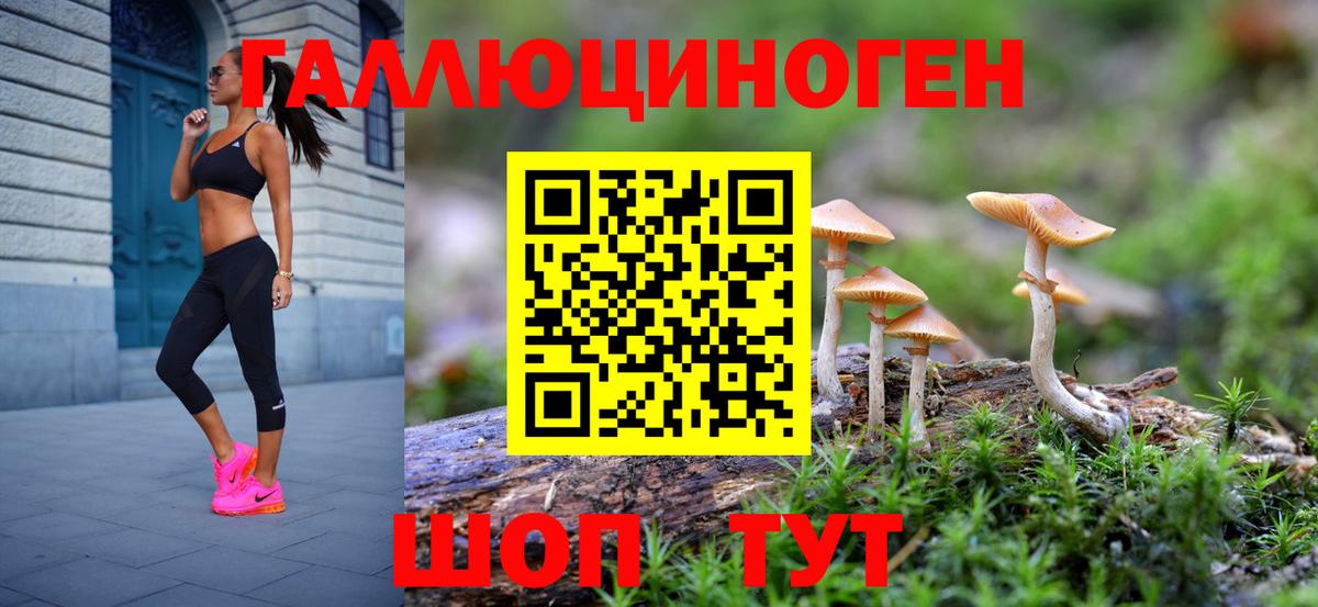Сыктывкар  Псилоцибиновые грибы Psilocybine cubensis  Вход с VPN 